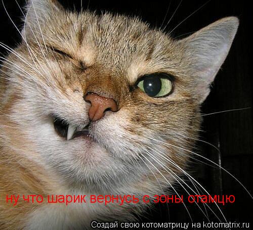 ну что шарик вернусь с зоны отамцю... Котоматрица: ну что шарик вернусь с зоны отамцю