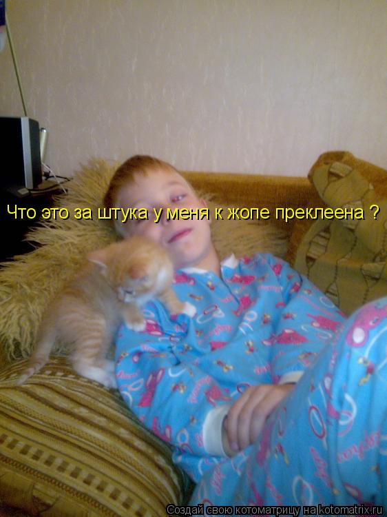 Что это за штука у меня к жопе преклеена ?... Котоматрица: Что это за штука у меня к жопе преклеена ?