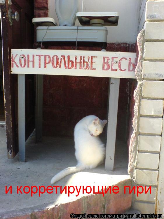 Котоматрица: и корретирующие гири