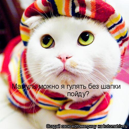Котоматрица: Мамуль можно я гулять без шапки пойду?