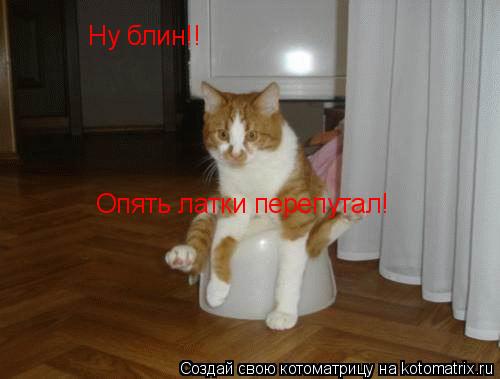 Котоматрица: Ну блин!! Опять латки перепутал!