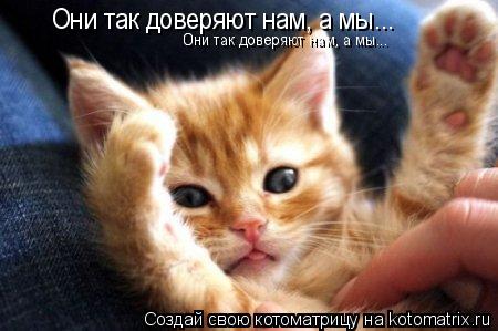 Котоматрица: Они так доверяют нам, а мы... Они так доверяют нам, а мы...
