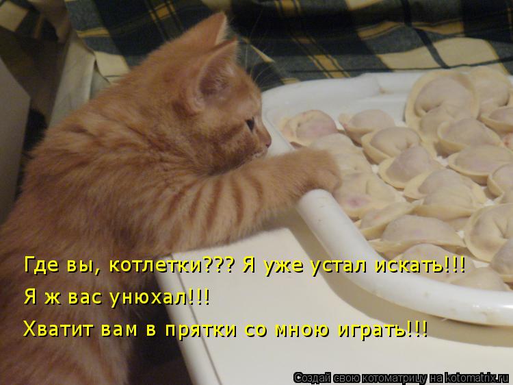 Котоматрица: Где вы, котлетки??? Я уже устал искать!!! Я ж вас унюхал!!! Хватит вам в прятки со мною играть!!!