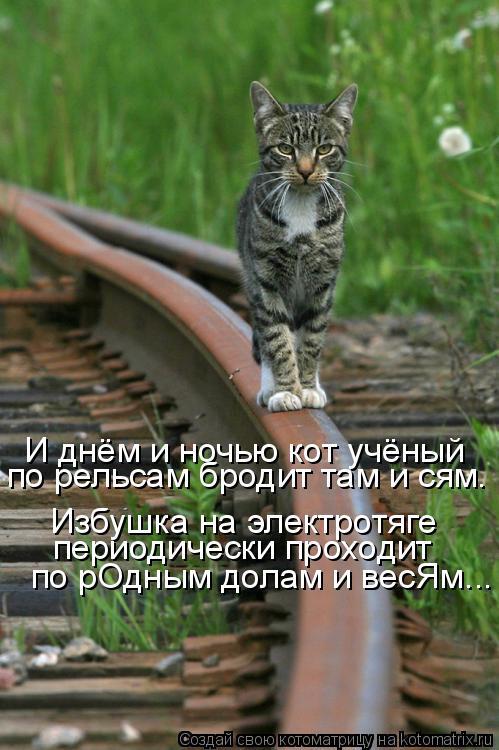 И днём и ночью кот учёный по рельсам бродит там и сям. Избушка на электротяге периодически проходит п... Котоматрица: И днём и ночью кот учёный по рельсам бродит там и сям. Избушка на электротяге периодически проходит по рОдным долам и весЯм...