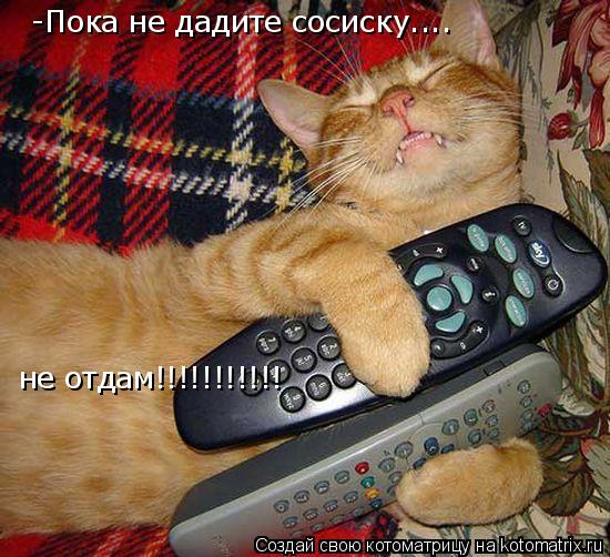 Котоматрица: -Пока не дадите сосиску.... не отдам!!!!!!!!!!!