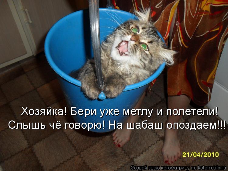 Хозяйка! Бери уже метлу и полетели! Слышь чё говорю! На шабаш опоздаем!!!... Котоматрица: Хозяйка! Бери уже метлу и полетели! Слышь чё говорю! На шабаш опоздаем!!!