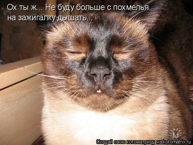 Ох ты ж... Не буду больше с похмелья на зажигалку дышать...... Котоматрица: Ох ты ж... Не буду больше с похмелья на зажигалку дышать...