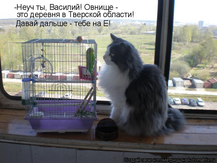 -Неуч ты, Василий! Овнище - это деревня в Тверской области! Давай дальше - тебе на Е!... Котоматрица: -Неуч ты, Василий! Овнище - это деревня в Тверской области! Давай дальше - тебе на Е!