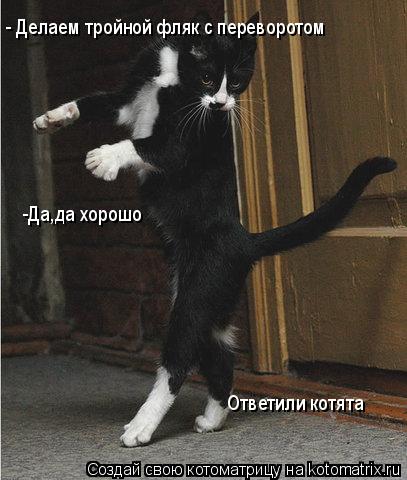 - Делаем тройной фляк с переворотом -Да,да хорошо Ответили котята... Котоматрица: - Делаем тройной фляк с переворотом -Да,да хорошо Ответили котята