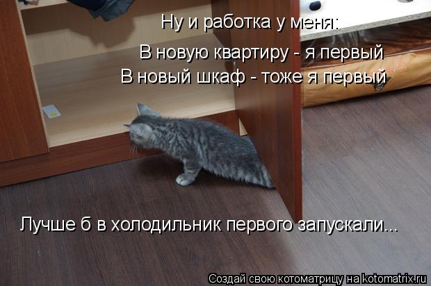 Ну и работка у меня: В новую квартиру - я первый В новый шкаф - тоже я первый Лучше б в холодильник п... Котоматрица: Ну и работка у меня: В новую квартиру - я первый В новый шкаф - тоже я первый Лучше б в холодильник первого запускали...