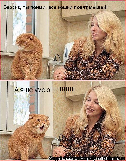 Барсик, ты пойми, все кошки ловят мышей! А я не умею!!!!!!!!!!!!!... Котоматрица: Барсик, ты пойми, все кошки ловят мышей! А я не умею!!!!!!!!!!!!!
