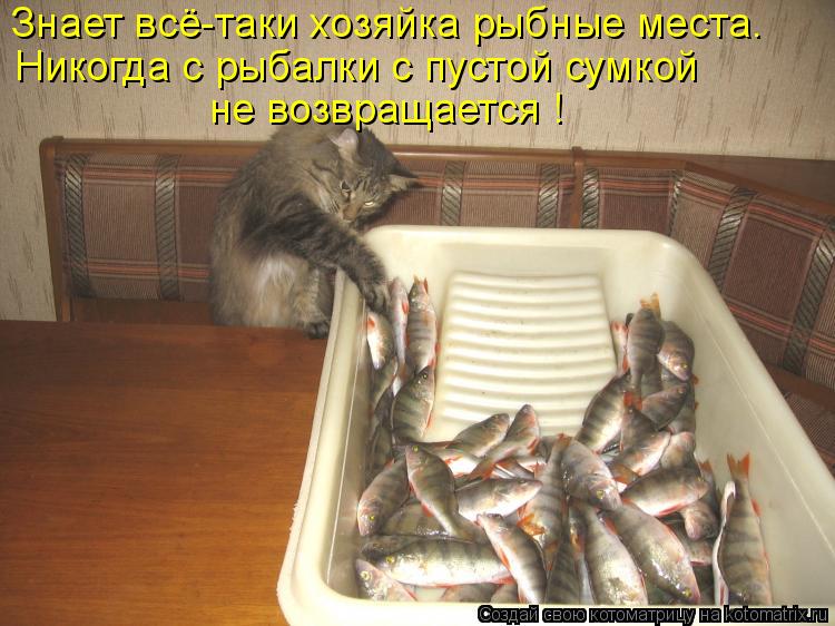 Знает всё-таки хозяйка рыбные места. Никогда с рыбалки с пустой сумкой не возвращается !... Котоматрица: Знает всё-таки хозяйка рыбные места. Никогда с рыбалки с пустой сумкой не возвращается !