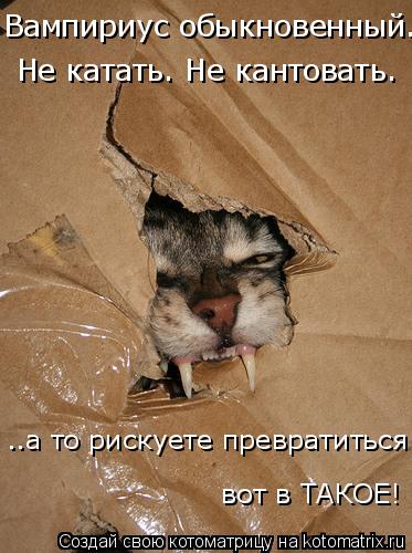 Вампириус обыкновенный. Не катать. Не кантовать. ..а то рискуете превратиться вот в ТАКОЕ!... Котоматрица: Вампириус обыкновенный. Не катать. Не кантовать. ..а то рискуете превратиться вот в ТАКОЕ!