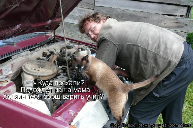 - Куда поехали?,, Подождёт наша мама.,, Хозяин тебя борщ варить учит?... Котоматрица: - Куда поехали?,, Подождёт наша мама.,, Хозяин тебя борщ варить учит?