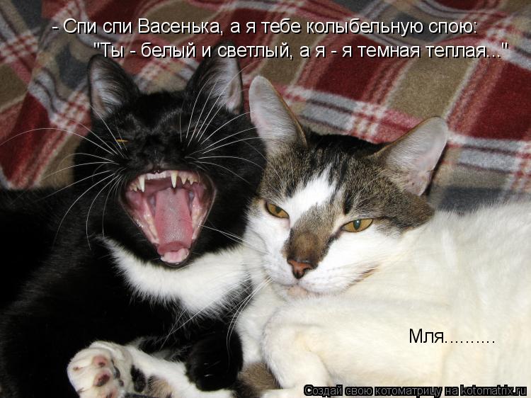 - Спи спи Васенька, а я тебе колыбельную спою: "Ты - белый и светлый, а я - я темная теплая..." Мля..... Котоматрица: - Спи спи Васенька, а я тебе колыбельную спою: "Ты - белый и светлый, а я - я темная теплая..." Мля..........