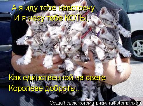 А я иду тебе навстречу И я несу тебе КОТЫ, Как единственной на свете Королеве доброты...... Котоматрица: А я иду тебе навстречу И я несу тебе КОТЫ, Как единственной на свете Королеве доброты...