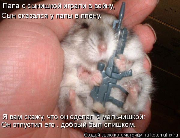 Папа с сынишкой играли в войну, Сын оказался у папы в плену. Папа с сынишкой играли в войну, Я вам ск... Котоматрица: Папа с сынишкой играли в войну, Сын оказался у папы в плену. Папа с сынишкой играли в войну, Я вам скажу, что он сделал с мальчишкой: Он отпуст