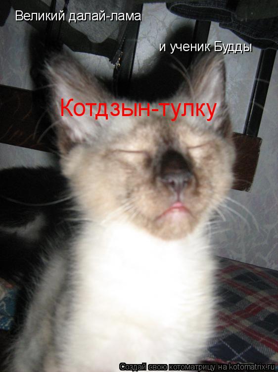 Великий далай-лама и ученик Будды Котдзын-тулку... Котоматрица: Великий далай-лама и ученик Будды Котдзын-тулку