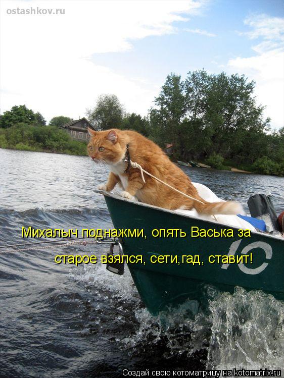 Михалыч поднажми, опять Васька за старое взялся, сети,гад, ставит!... Котоматрица: Михалыч поднажми, опять Васька за старое взялся, сети,гад, ставит!