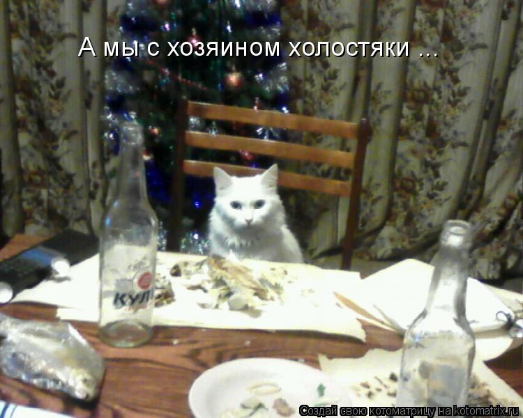 Котоматрица: А мы с хозяином холостяки ...