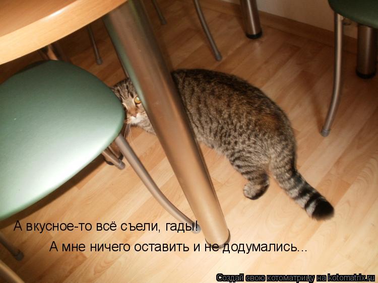 А вкусное-то всё съели, гады! А мне ничего оставить и не додумались...... Котоматрица: А вкусное-то всё съели, гады! А мне ничего оставить и не додумались...