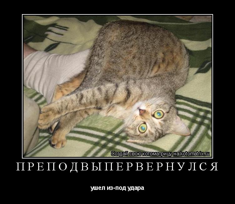 преподвыпервернулся ушел из-под удара... Котоматрица: преподвыпервернулся ушел из-под удара