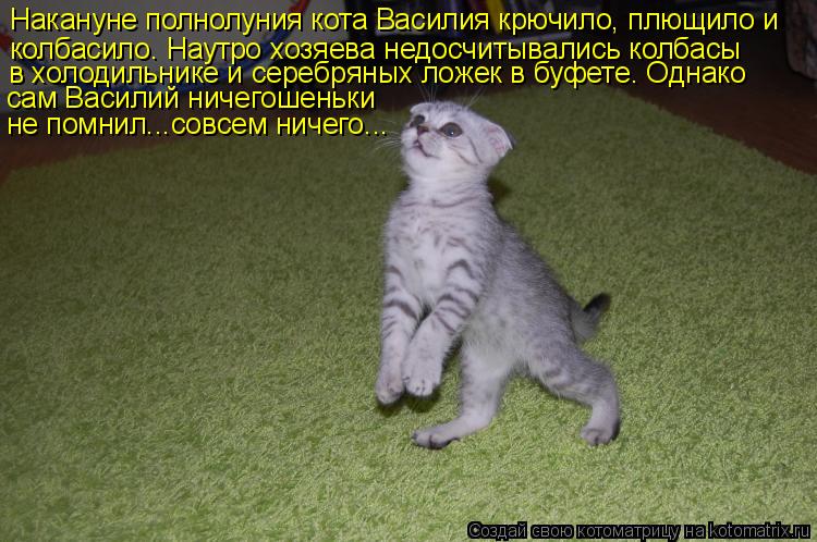 Накануне полнолуния кота Василия крючило, плющило и колбасило. Наутро хозяева недосчитывались колбасы... Котоматрица: Накануне полнолуния кота Василия крючило, плющило и колбасило. Наутро хозяева недосчитывались колбасы в холодильнике и серебряных ложек в