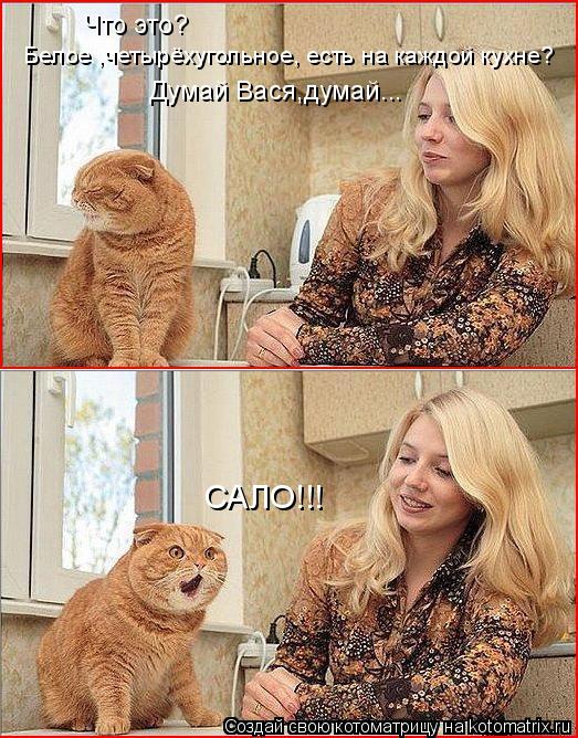 Что это? Белое ,четырёхугольное, есть на каждой кухне? Думай Вася,думай... САЛО!!!... Котоматрица: Что это? Белое ,четырёхугольное, есть на каждой кухне? Думай Вася,думай... САЛО!!!