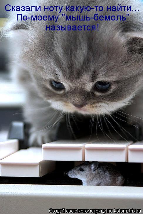 Котоматрица: Сказали ноту какую-то найти... По-моему "мышь-бемоль"   называется!