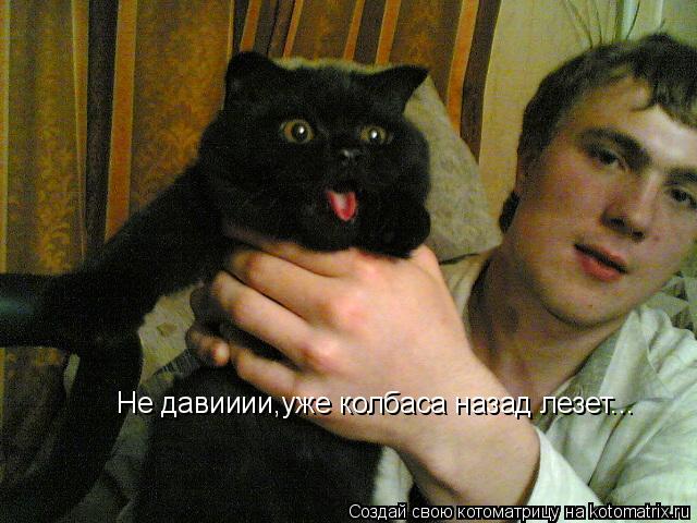 Котоматрица: Не давииии,уже колбаса назад лезет...