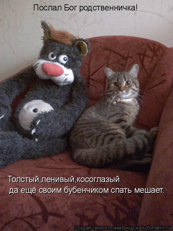 Котоматрица: Послал Бог родственничка! Толстый,ленивый,косоглазый да ещё своим бубенчиком спать мешает.