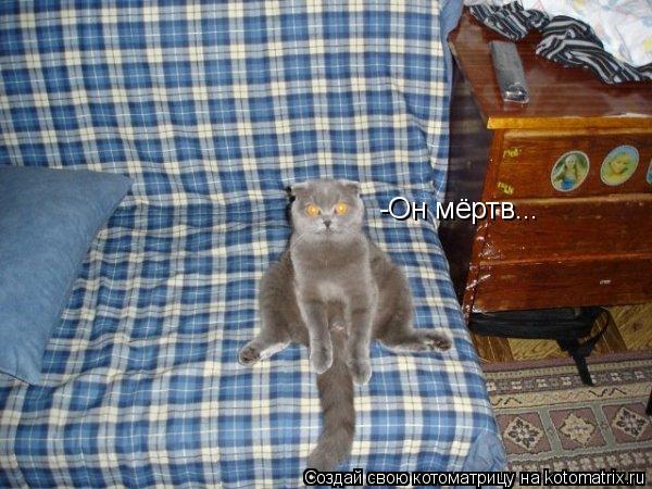 Котоматрица: -Он мёртв...