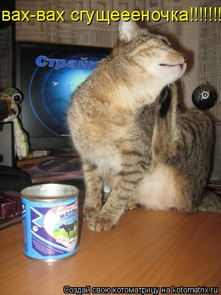 Котоматрица: вах-вах сгущеееночка!!!!!!!!