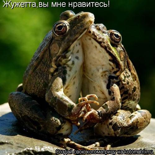 Котоматрица: Жужетта,вы мне нравитесь!