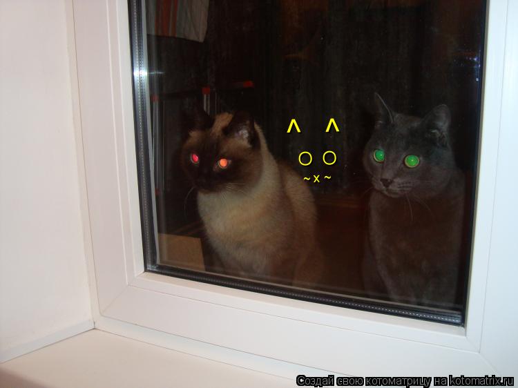 Котоматрица: O  O ^                       ^                       ~ х ~