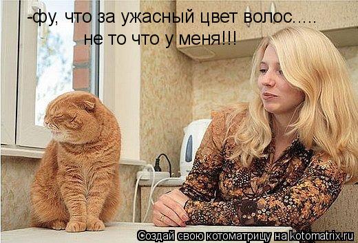 -фу, что за ужасный цвет волос..... не то что у меня!!!... Котоматрица: -фу, что за ужасный цвет волос..... не то что у меня!!!