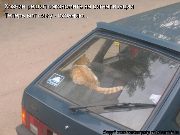 Хозяин решил сэкономить на сигнализации Теперь вот сижу - охраняю...... Котоматрица: Хозяин решил сэкономить на сигнализации Теперь вот сижу - охраняю...