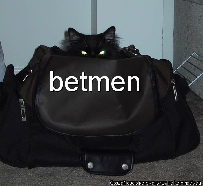 betmen... Котоматрица: betmen