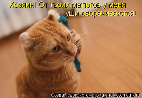 Хозяин! От твоих матюгов у меня уши сворачиваются!... Котоматрица: Хозяин! От твоих матюгов у меня уши сворачиваются!