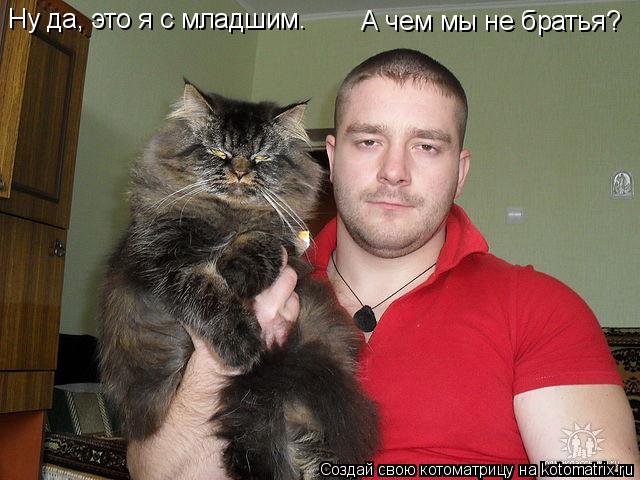 Ну да, это я с младшим. А чем мы не братья?... Котоматрица: Ну да, это я с младшим. А чем мы не братья?