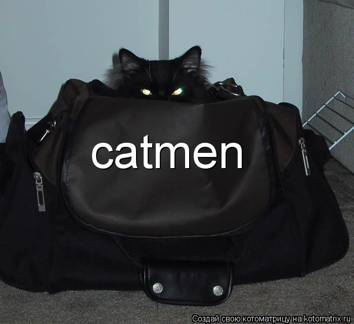 catmen... Котоматрица: catmen