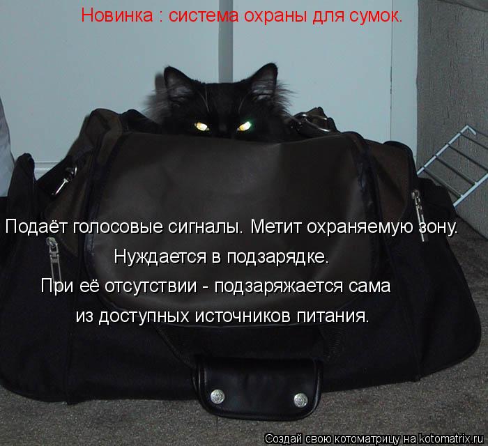 Подаёт голосовые сигналы. Метит охраняемую зону. Нуждается в подзарядке. При её отсутствии - подзаря... Котоматрица: Подаёт голосовые сигналы. Метит охраняемую зону. Нуждается в подзарядке. При её отсутствии - подзаряжается сама Новинка : система охраны дл
