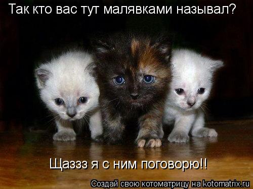 Так кто вас тут малявками называл? Щаззз я с ним поговорю!!... Котоматрица: Так кто вас тут малявками называл? Щаззз я с ним поговорю!!