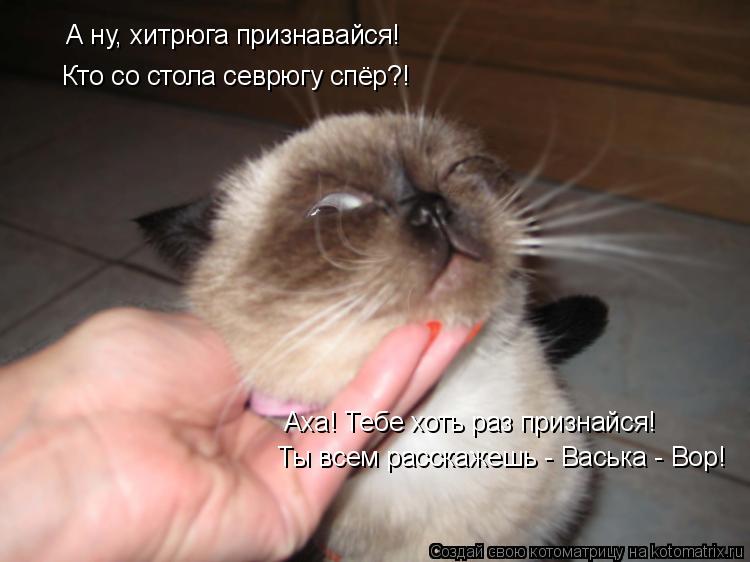 А ну, хитрюга признавайся! Кто со стола севрюгу спёр?! Аха! Тебе хоть раз признайся! Ты всем расскаже... Котоматрица: А ну, хитрюга признавайся! Кто со стола севрюгу спёр?! Аха! Тебе хоть раз признайся! Ты всем расскажешь - Васька - Вор!