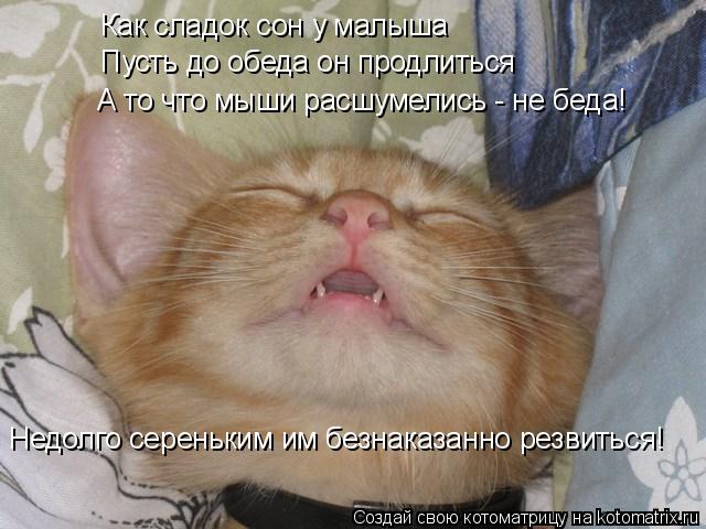 Как сладок сон у малыша Пусть до обеда он продлиться А то что мыши расшумелись - не беда! Недолго сер... Котоматрица: Как сладок сон у малыша Пусть до обеда он продлиться А то что мыши расшумелись - не беда! Недолго сереньким им безнаказанно резвиться!