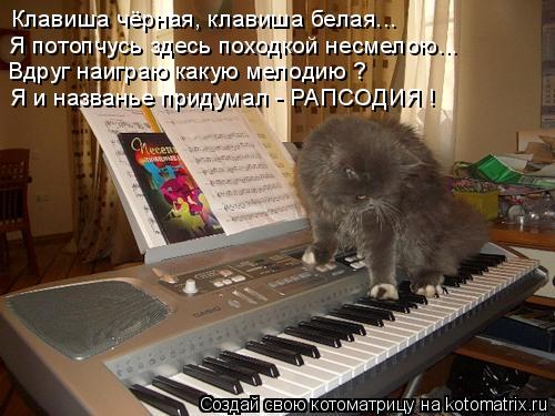 Клавиша чёрная, клавиша белая... Я потопчусь здесь походкой несмелою... Вдруг наиграю какую мелодию ?... Котоматрица: Клавиша чёрная, клавиша белая... Я потопчусь здесь походкой несмелою... Вдруг наиграю какую мелодию ? Я и названье придумал - РАПСОДИЯ !
