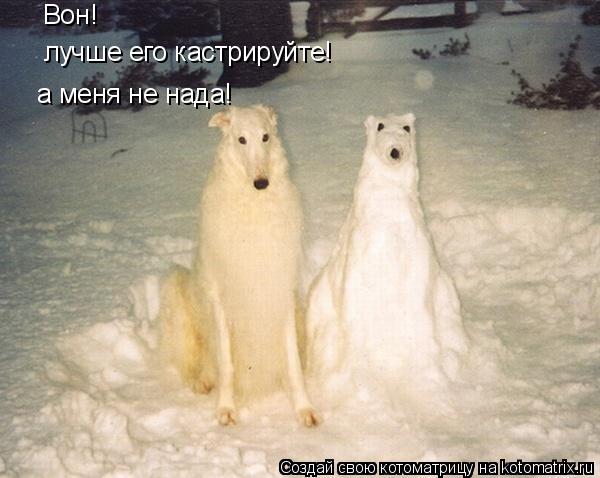 Котоматрица: Вон! лучше его кастрируйте! лучше его кастрируйте! а меня не нада! а меня не нада!