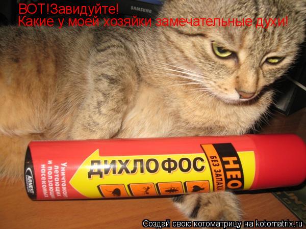 Котоматрица: ВОТ!Завидуйте! Какие у моей хозяйки замечательные духи!