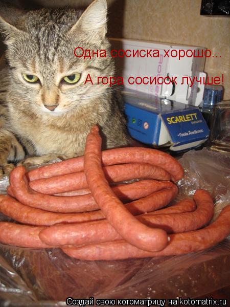 Котоматрица: Одна сосиска хорошо... А гора сосисок лучше!
