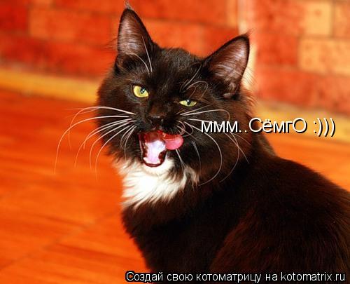 ммм..СёмгО :)))... Котоматрица: ммм..СёмгО :)))
